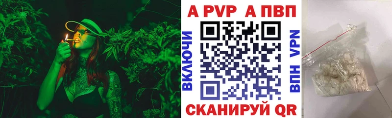 Купить закладки  Суздаль  APVP СК КРИС 