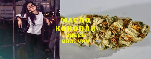 шишки Арсеньев