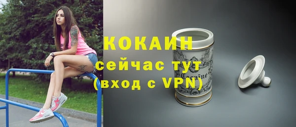 шишки Арсеньев