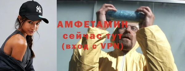 шишки Арсеньев