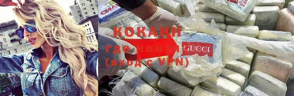шишки Арсеньев