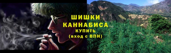 шишки Арсеньев