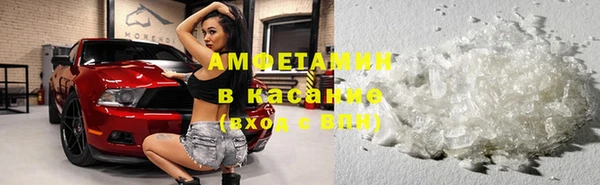 шишки Арсеньев