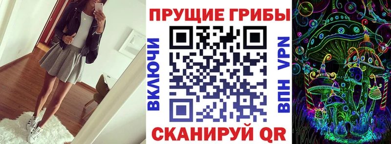 Псилоцибиновые грибы прущие грибы Суздаль