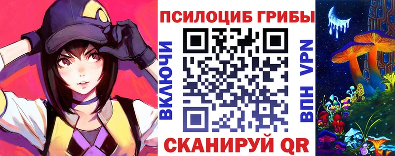 Галлюциногенные грибы MAGIC MUSHROOMS  Купить закладки  Суздаль 